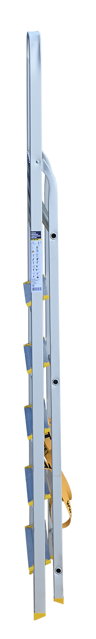 APA 7006