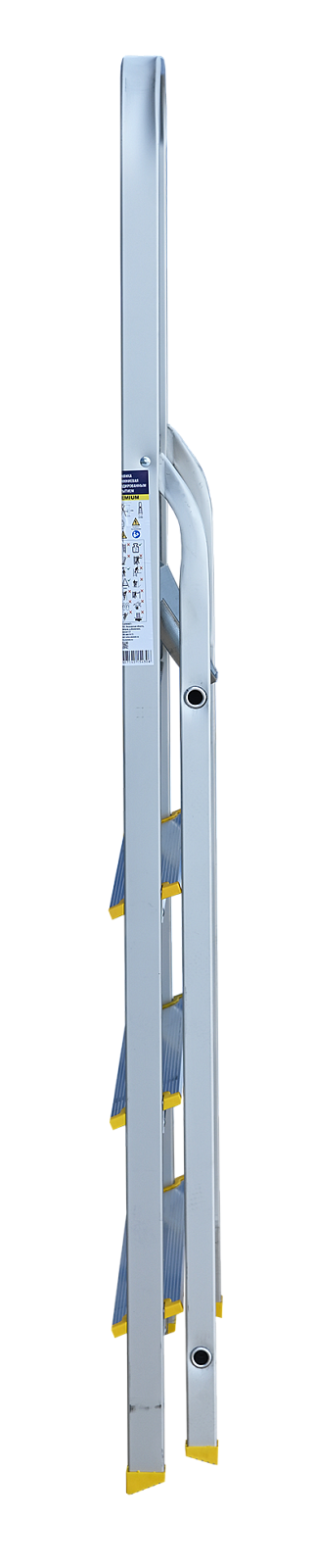 APA 7004